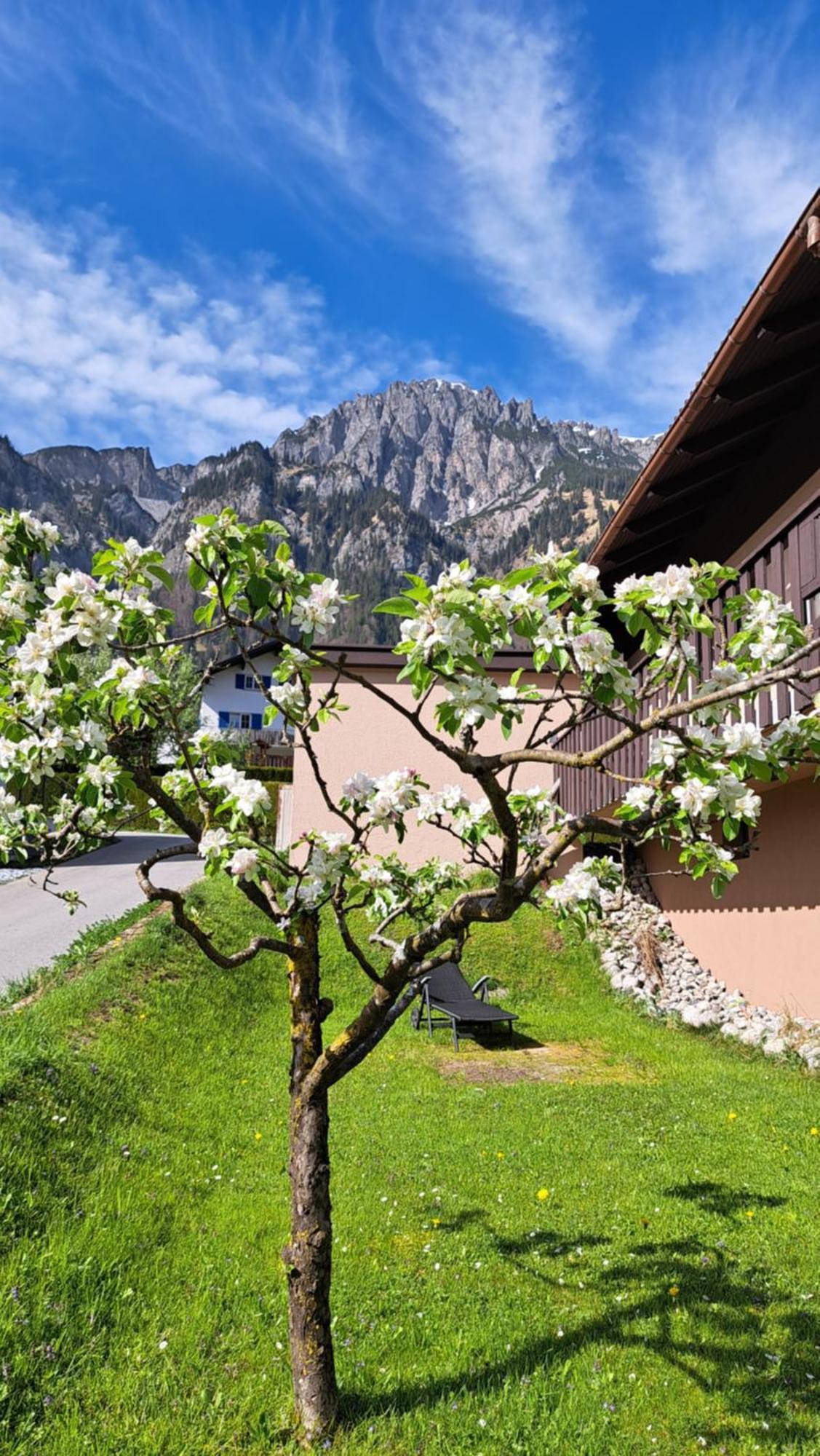 Baers Mountain Stay Ausserbraz Innerbraz Esterno foto