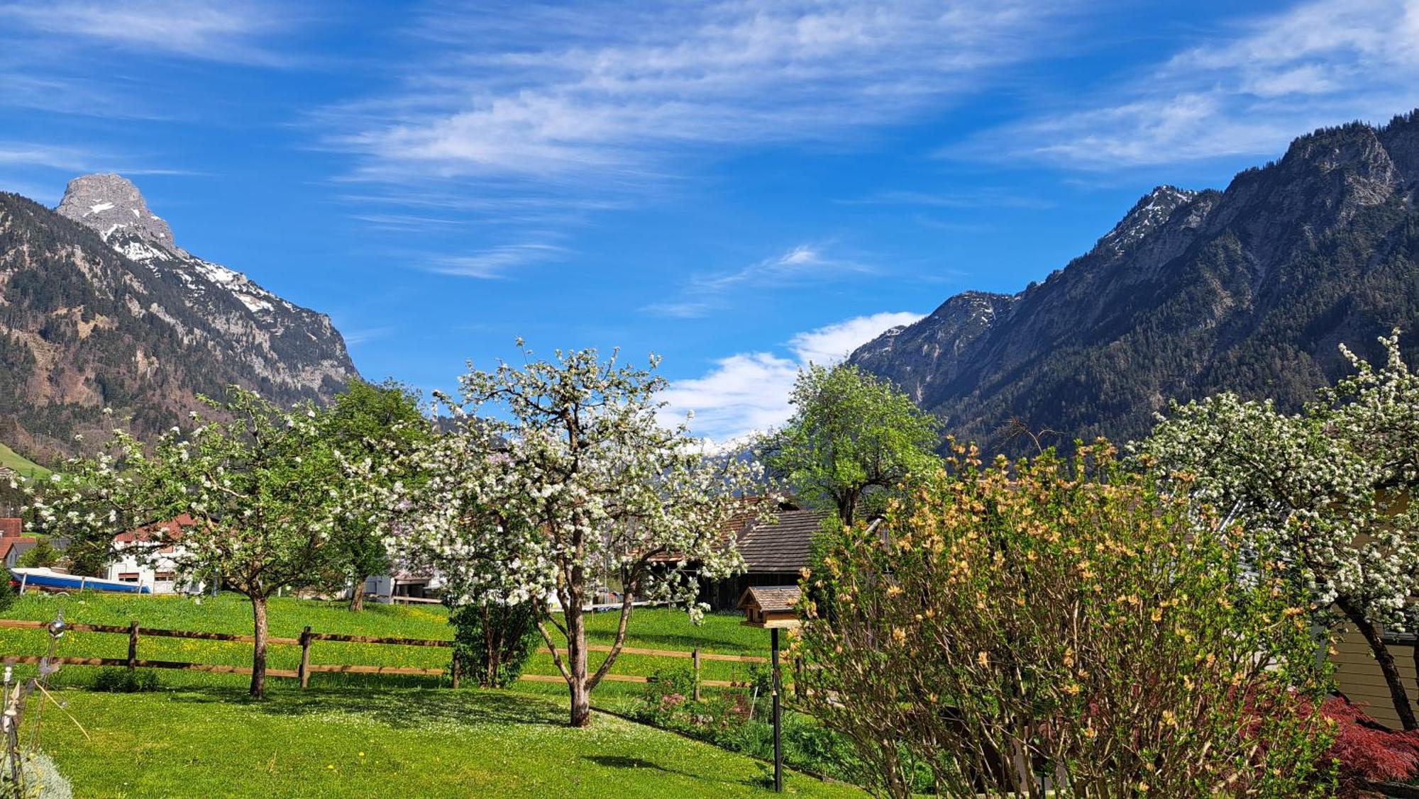 Baers Mountain Stay Ausserbraz Innerbraz Esterno foto