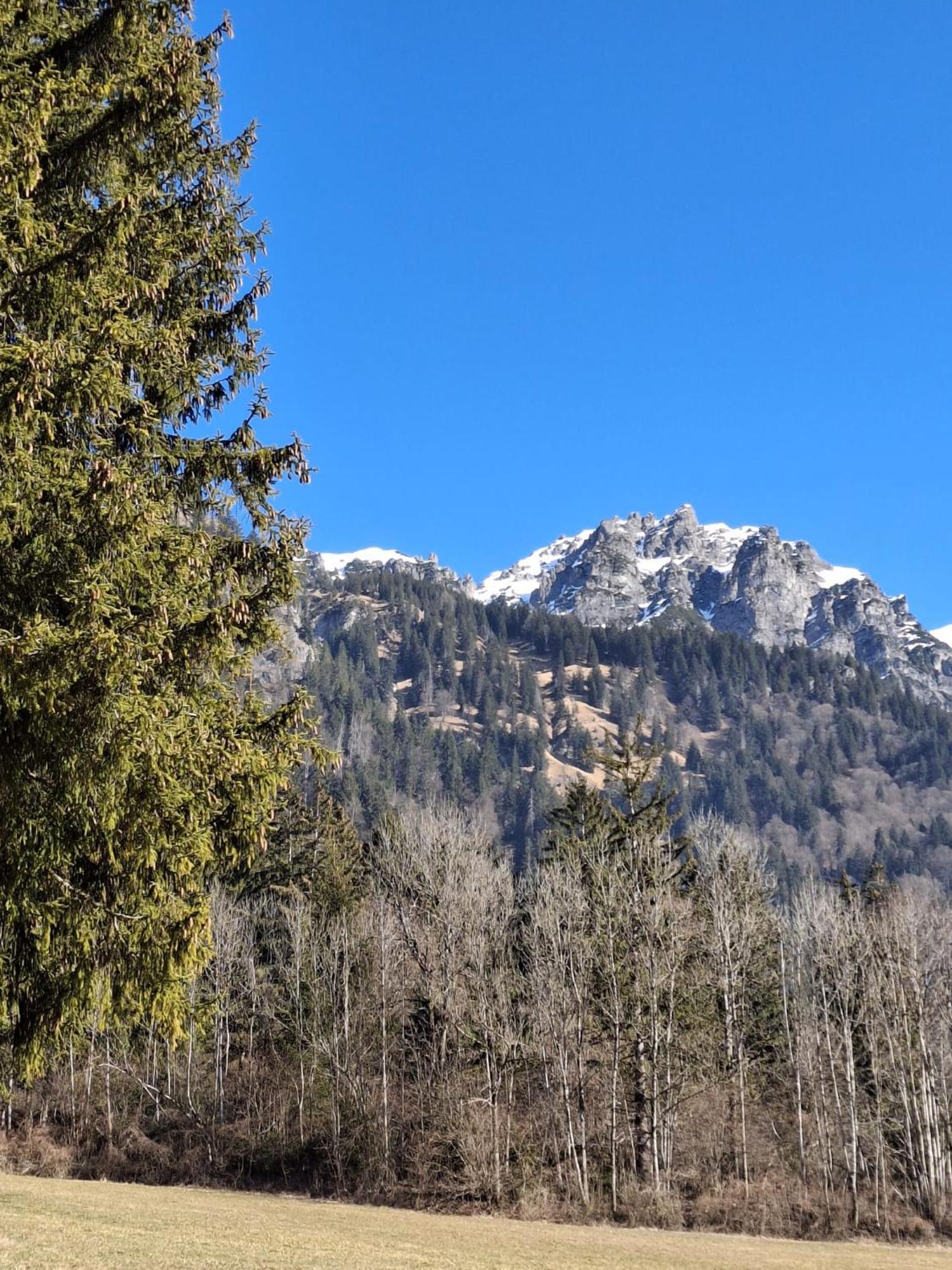 Baers Mountain Stay Ausserbraz Innerbraz Esterno foto