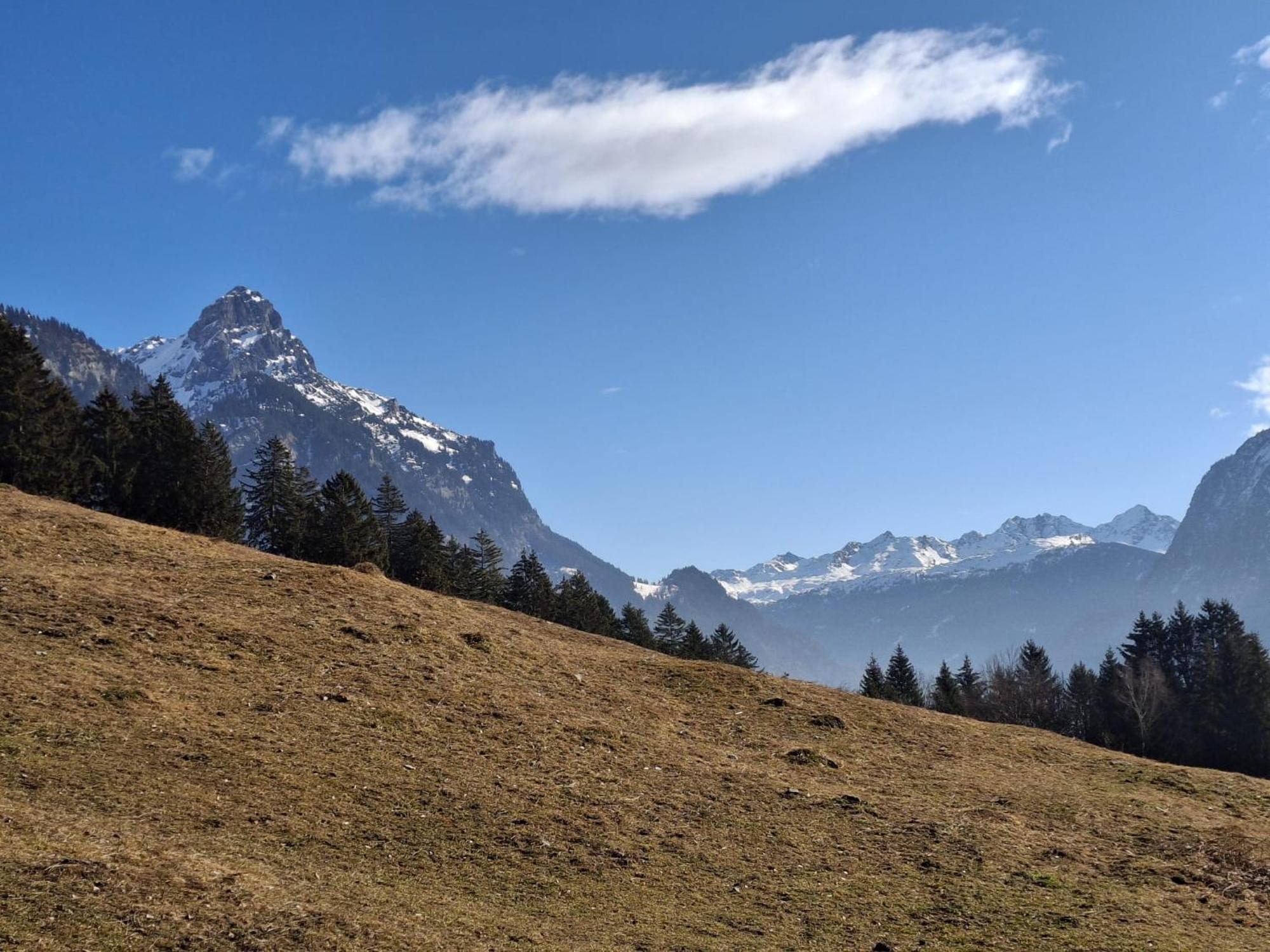 Baers Mountain Stay Ausserbraz Innerbraz Esterno foto